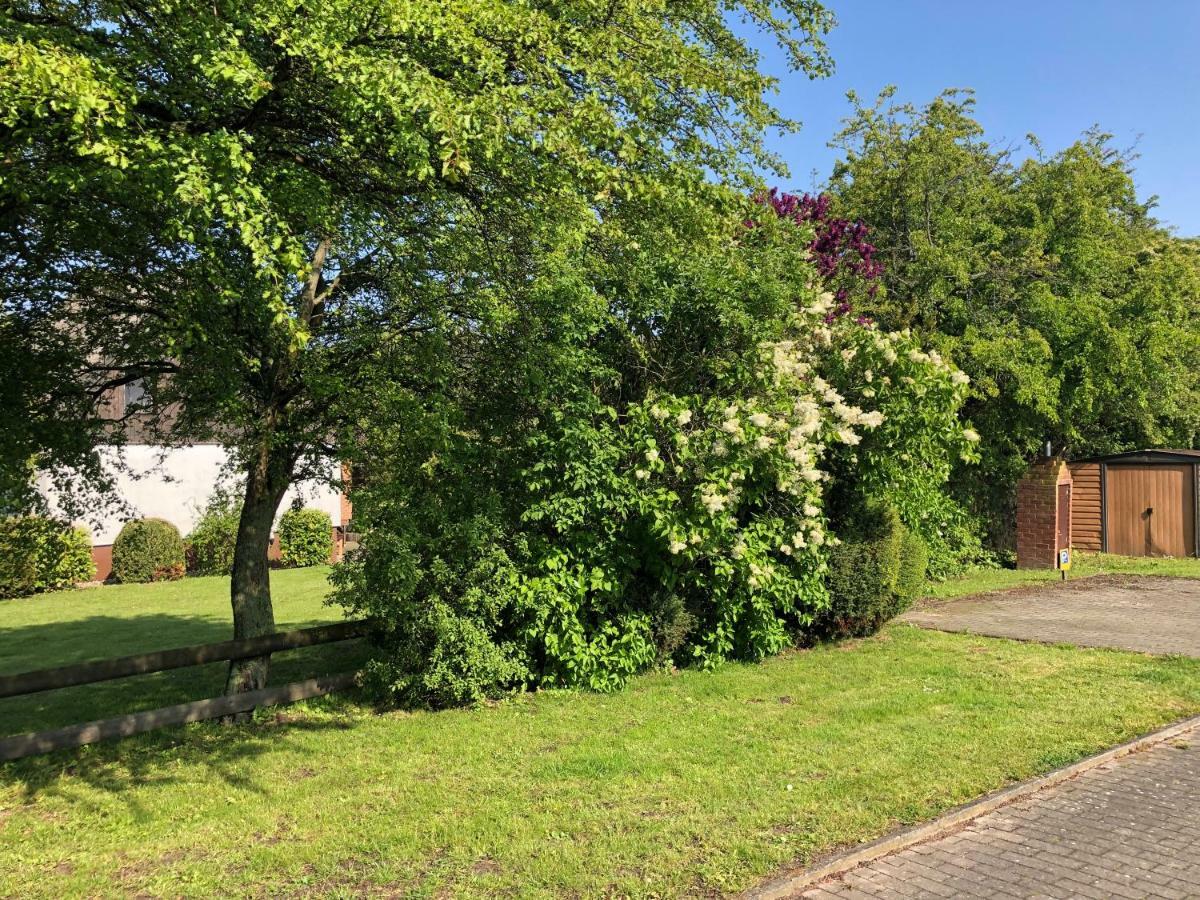 Ferienanlage Bullerbu Lohme Exteriér fotografie